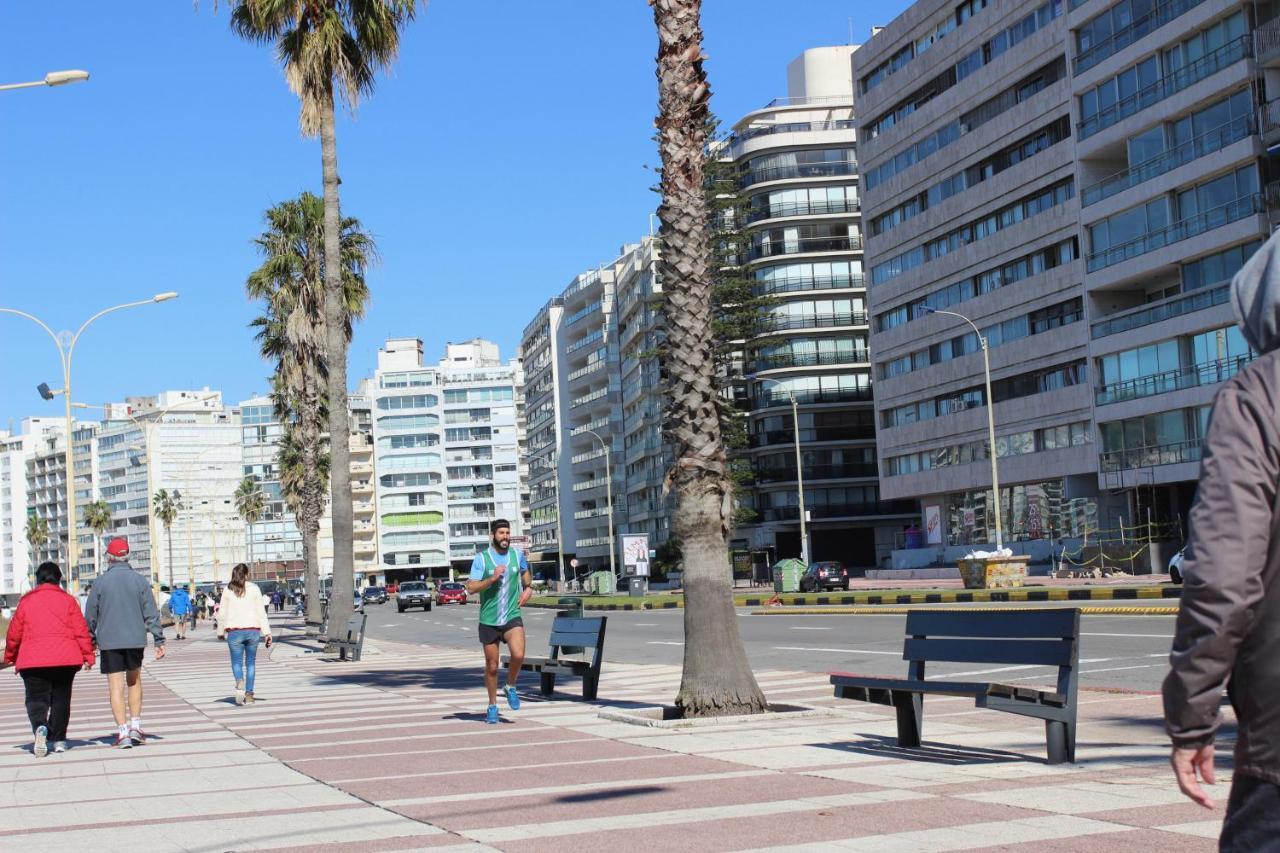 Apartamento Estudio Sur Con Vista Al Mar *